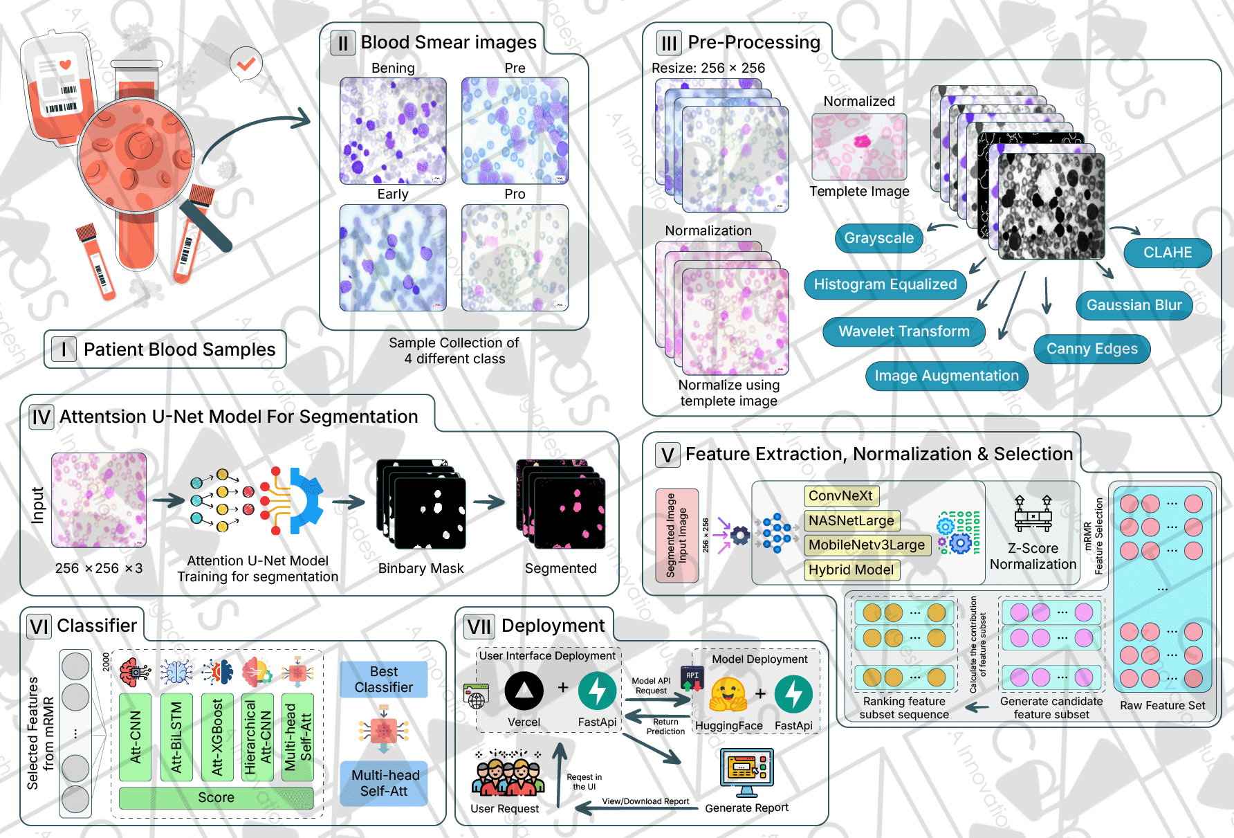 HybridCN-NAS: Multi-Stage Deep Learning for Leukemia Cell Classification Workflow